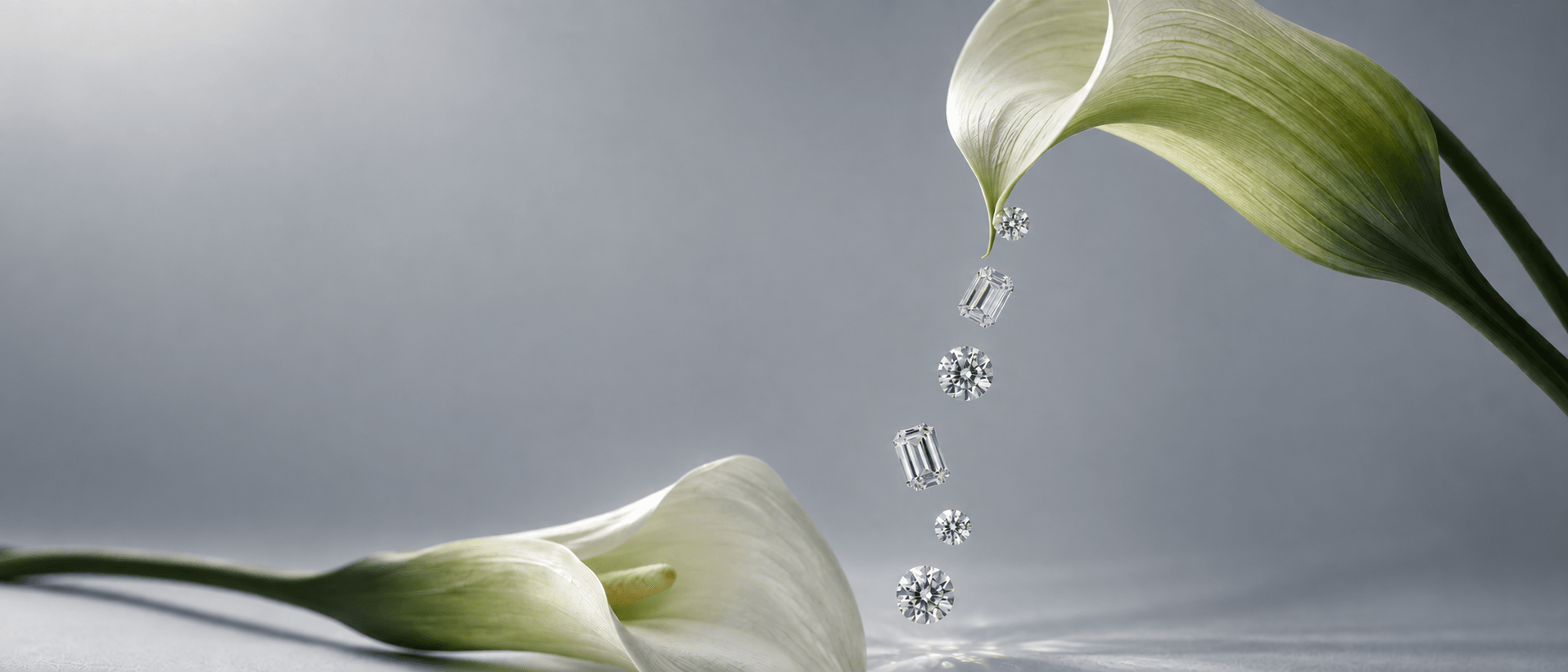 A diamond ring and loose polished diamonds cascading from a white calla lily