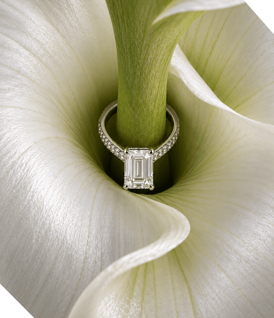 A diamond ring nestled in the folds of a white calla lily