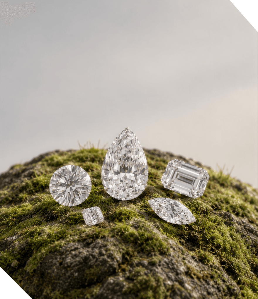 Loose polished diamonds resting on a moss-covered stone